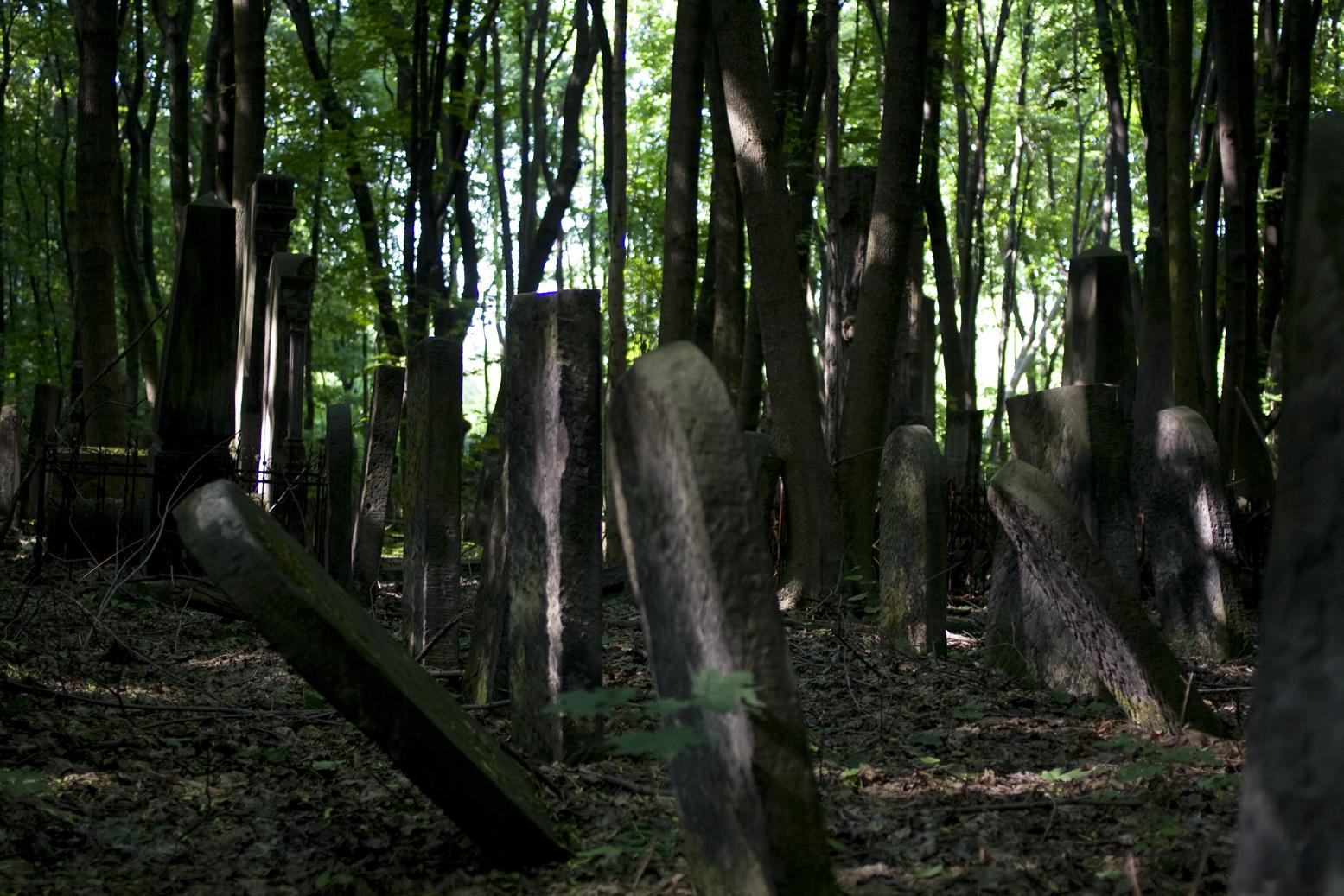 Image: WARSZAWA - Cmentarz Z.ydowski | Jdischer Friedhof